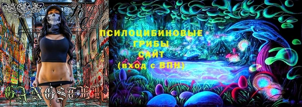 сатива Тихвин